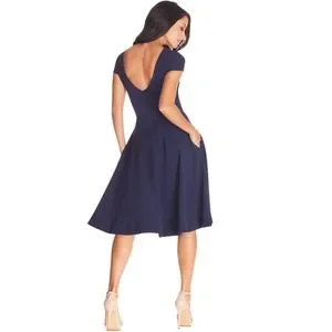 Dress the Population | Dresses | Dress The Population Livia Fit Flare Dress  Nwt | Poshmark